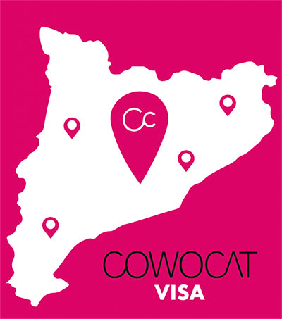 Logo Cowocat Visa